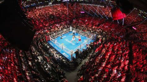 boxing match results last night.